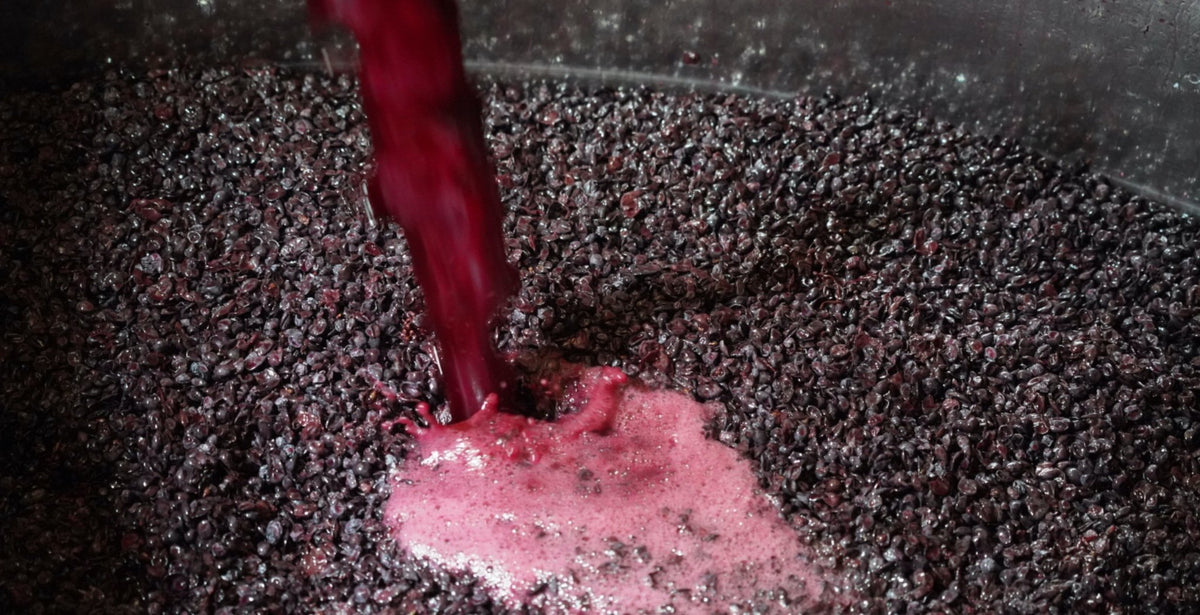 Maceration BiniVista