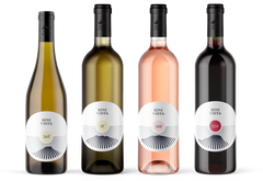 White Wine Package 2025: the journey