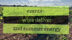 Vineyard Update: Events, Wine Deliveries, and Summer Energy