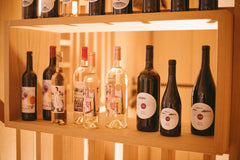 The Harvest 2025 is done!