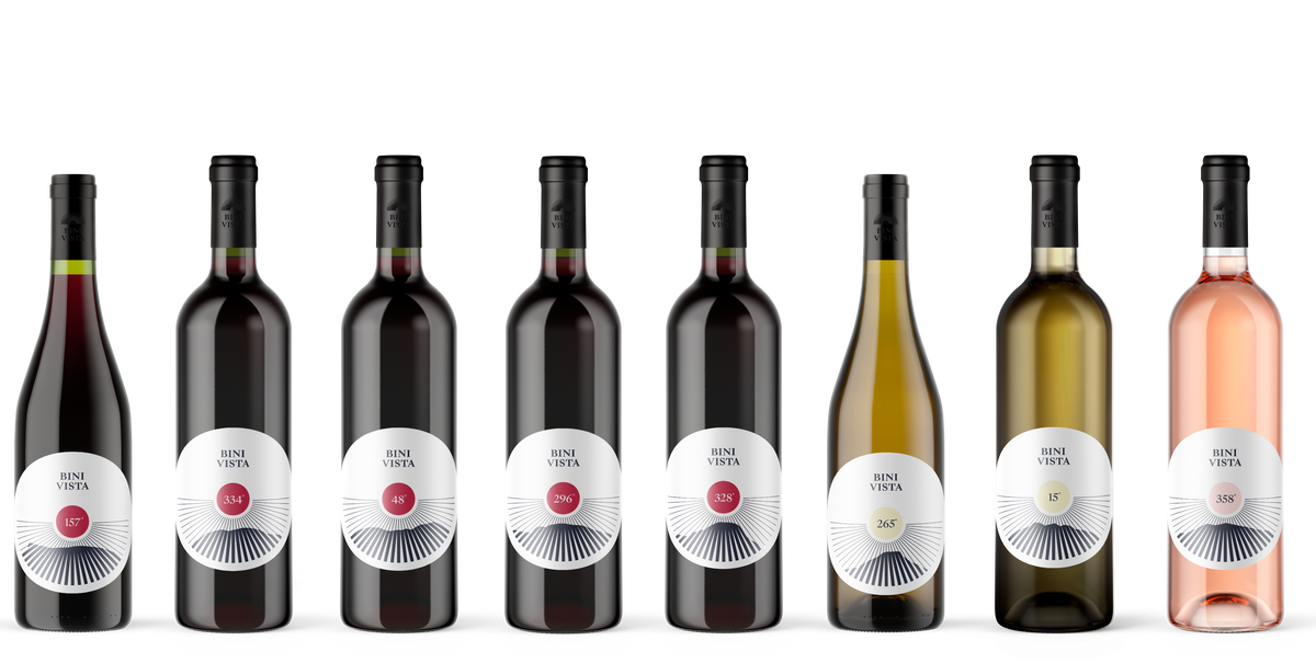 All 2021 Wines - Batch #3 & #4 – BiniVista