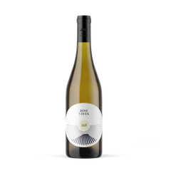 265°, 2025 Galatzó (Batch #10)