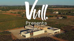 A music festival at the vineyard